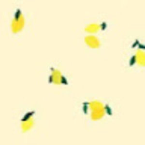 Meet your Posher, Ellen